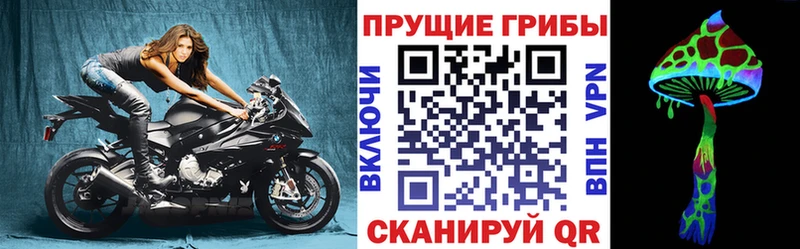 Галлюциногенные грибы Cubensis  Курильск 